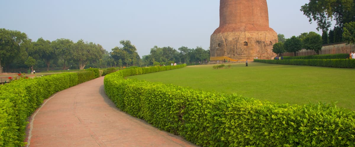 Dharmarajika Stupa featuring a garden