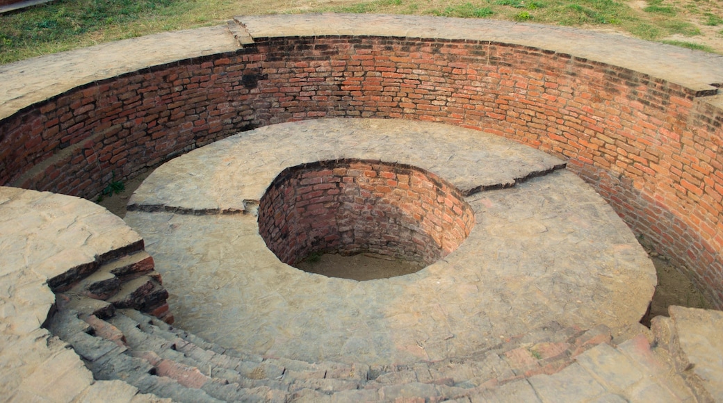 Dharmarajika Stupa som visar historiska element