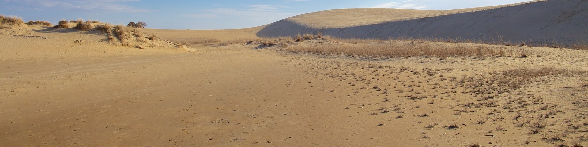 Jockey\'s Ridge State Park mettant en vedette scènes tranquilles