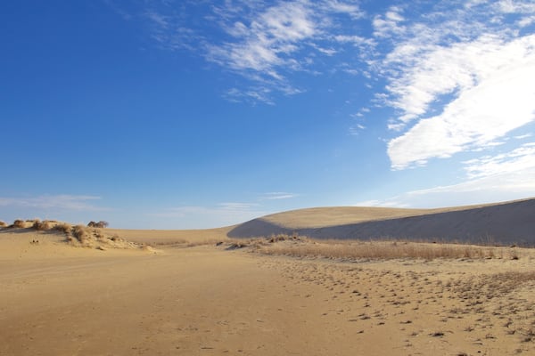Jockey\'s Ridge State Park das einen ruhige Szenerie