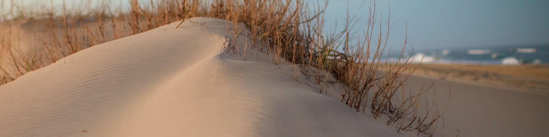 Cape Hatteras National Seashore showing tranquil scenes and a sandy beach