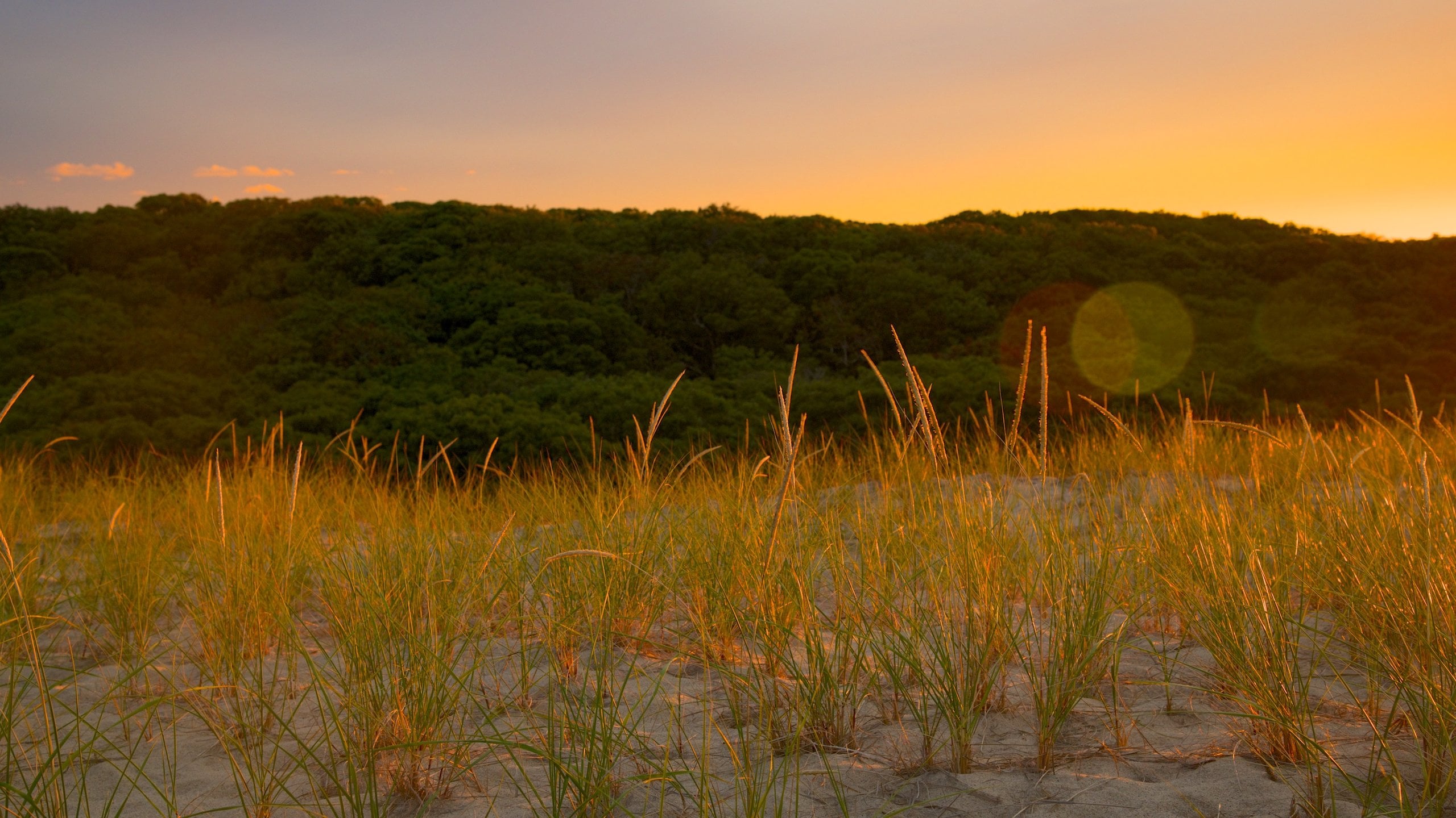 Eastham showing a sunset
