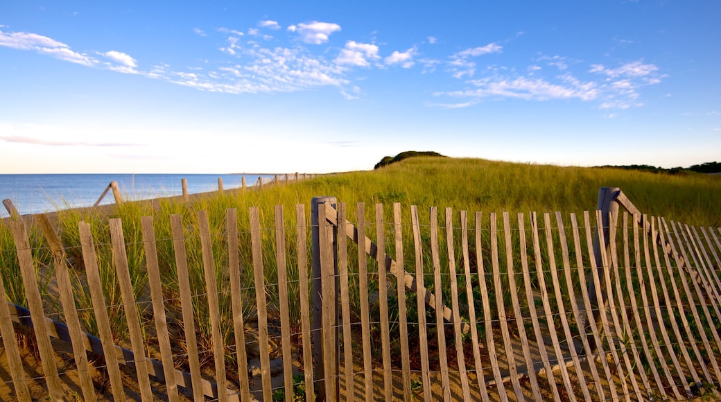 Herring Cove Beach which includes general coastal views and tranquil scenes