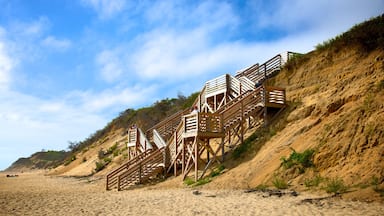 Orleans which includes a beach