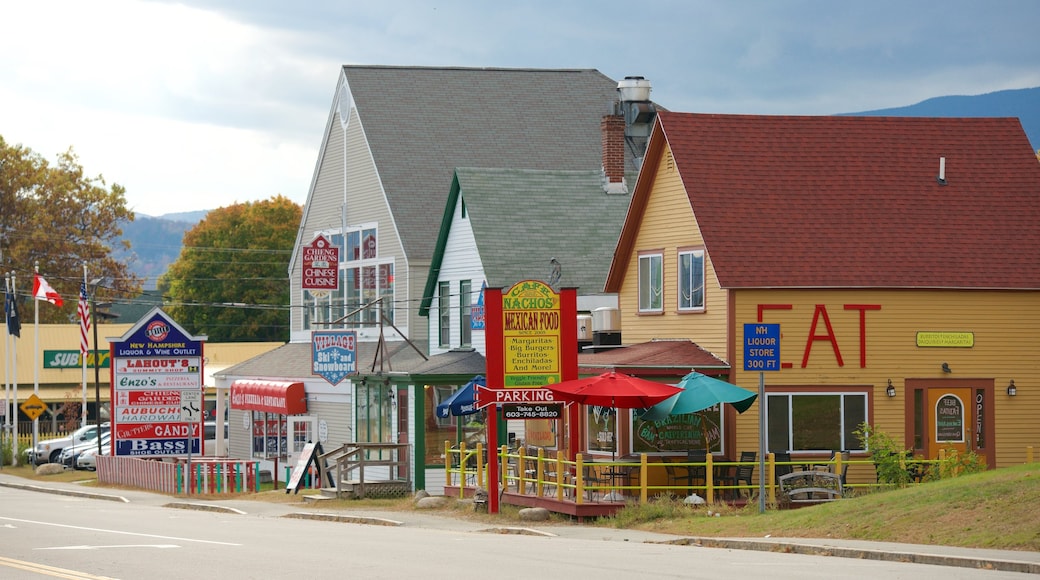 Lincoln showing a small town or village