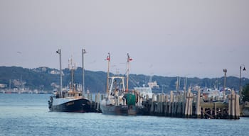 Montauk showing a bay or harbor and fishing