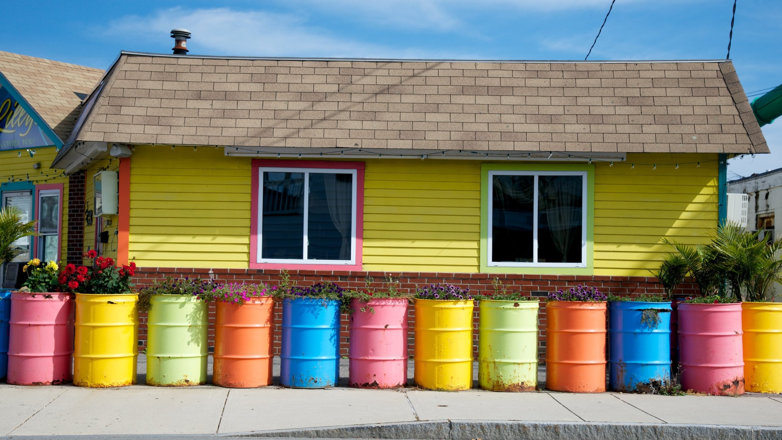 Hampton Beach showing flowers and a house