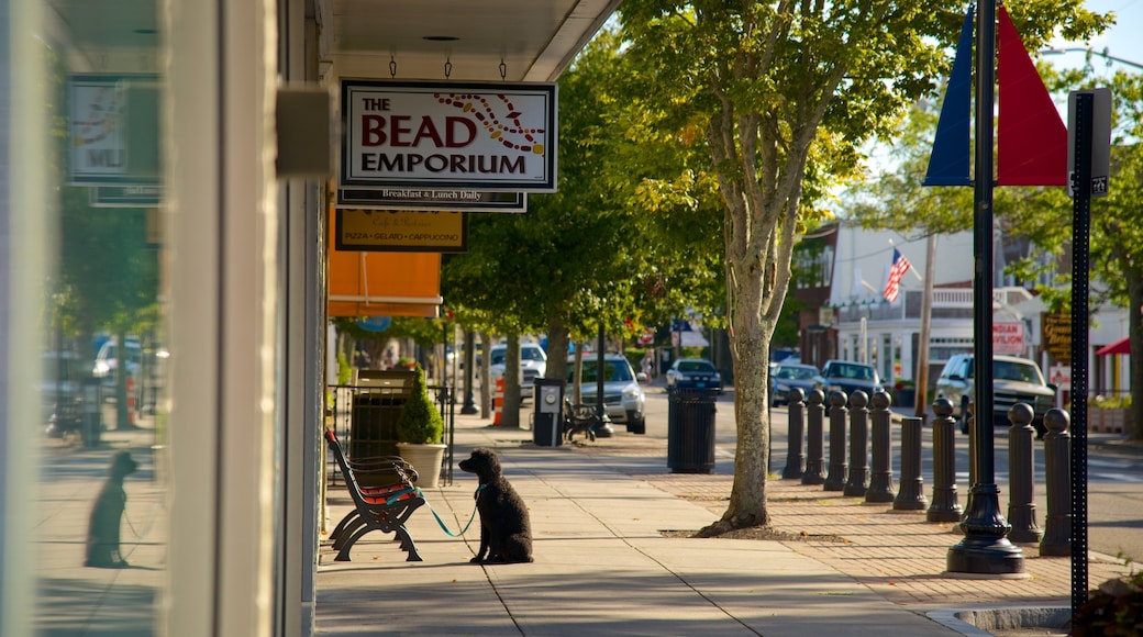 Hyannis showing a city