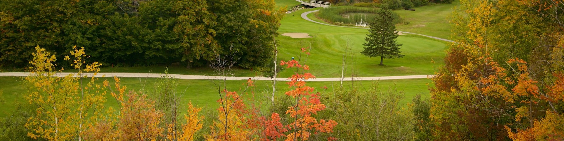 Killington qui includes feuilles d\'automne et golf