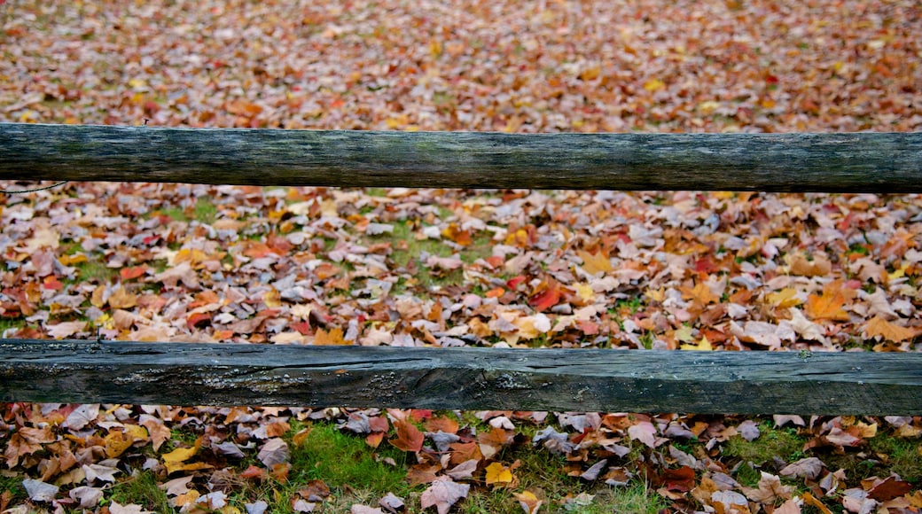 North Conway inclusief herfstkleuren