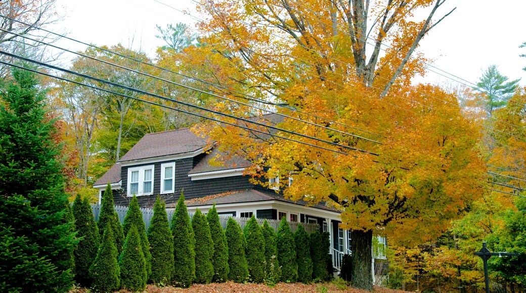 North Conway mostrando los colores del otoño y una casa
