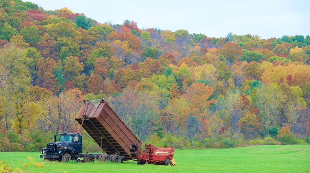 Southeast Massachusetts which includes autumn colours