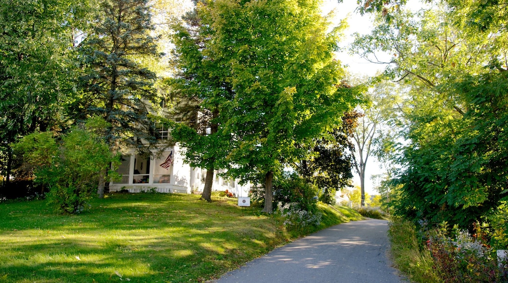 Laconia showing a house and a garden