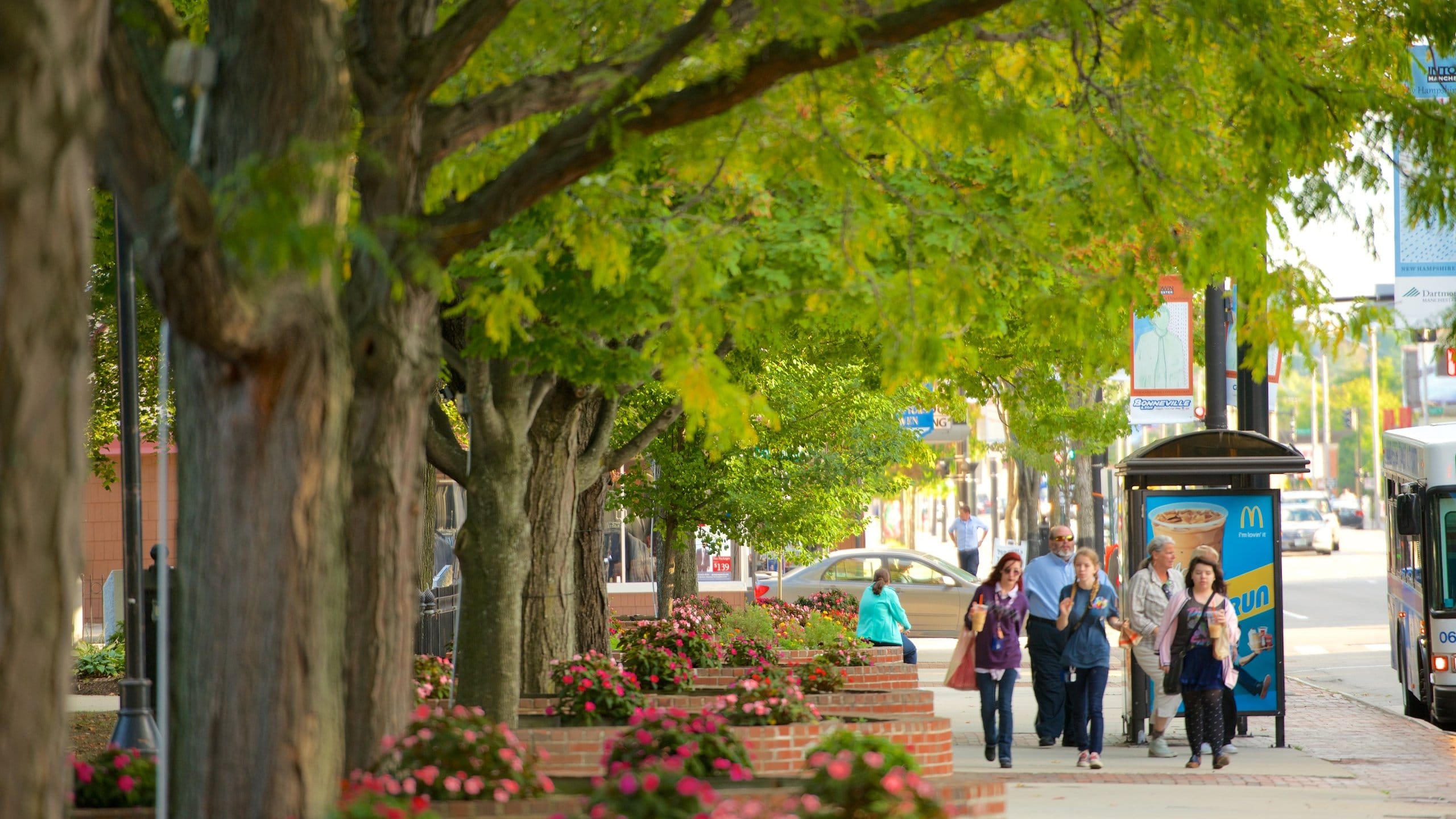 Manchester which includes street scenes