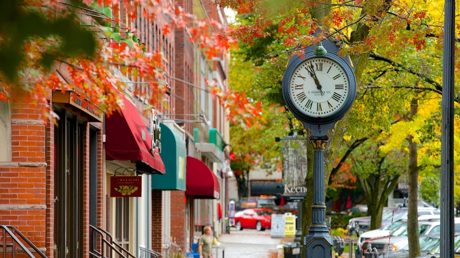 Keene que incluye colores de otoño y imágenes de calles