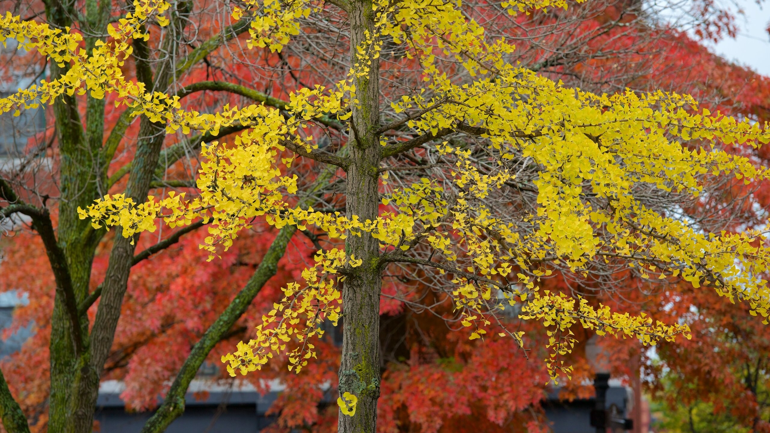 Visit Keene: 2022 Travel Guide for Keene, New Hampshire | Expedia