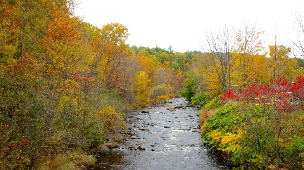 Keene featuring fall colors and a river or creek