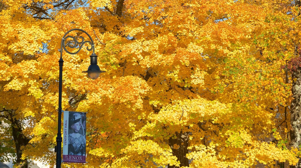 Lenox showing fall colors