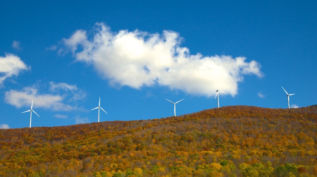 Hancock toont herfstkleuren