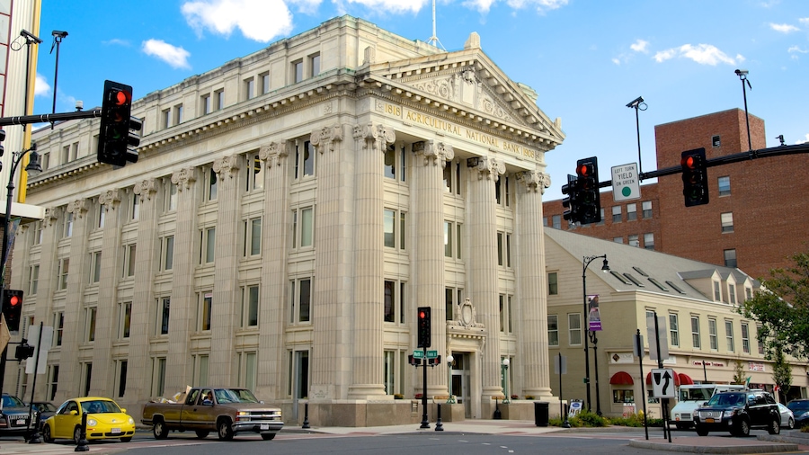 Pittsfield showing a city