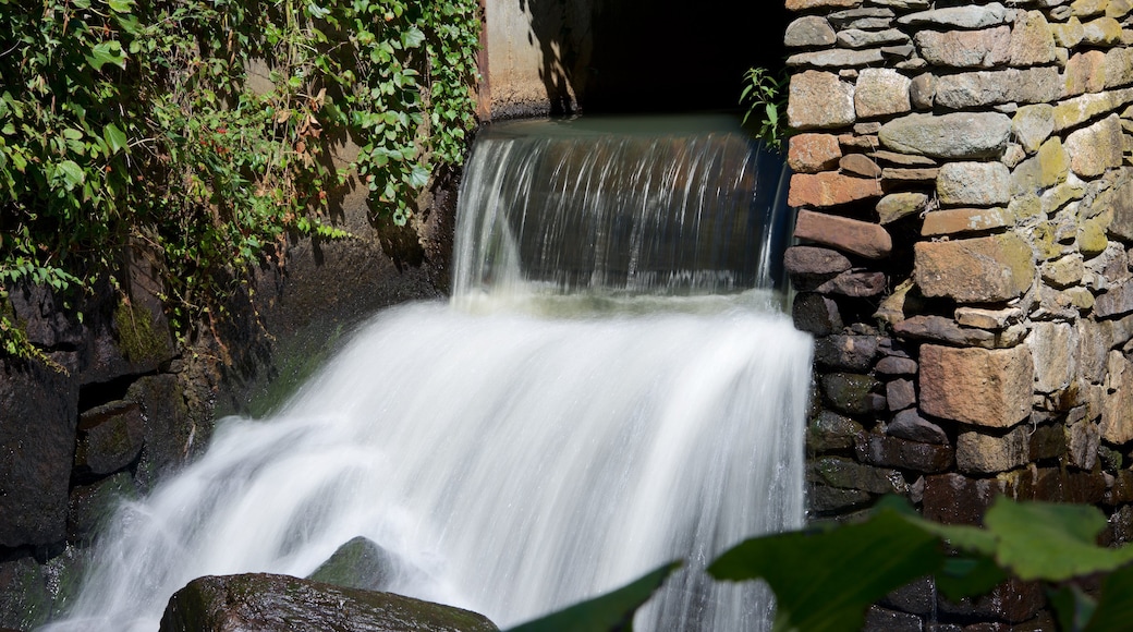 Jenney Grist Mill