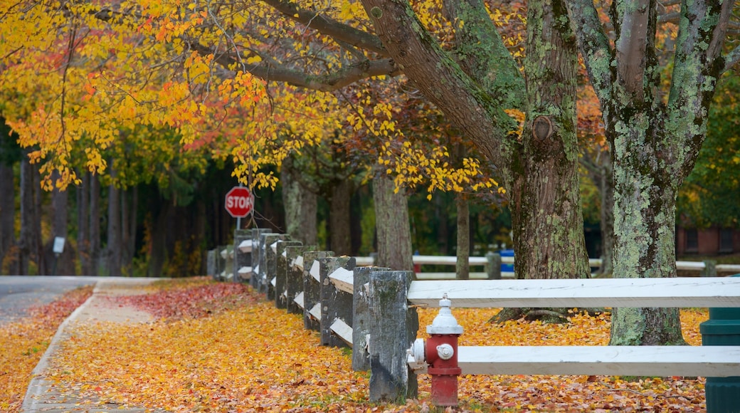 Southeast Massachusetts showing autumn colours