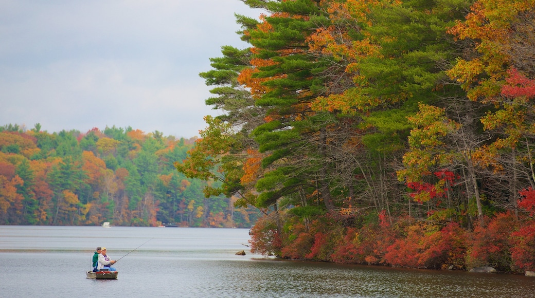 Sudeste de Massachusetts que inclui cores do outono, um rio ou córrego e pesca