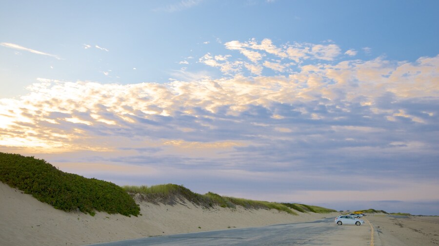 Herring Cove Beach featuring general coastal views