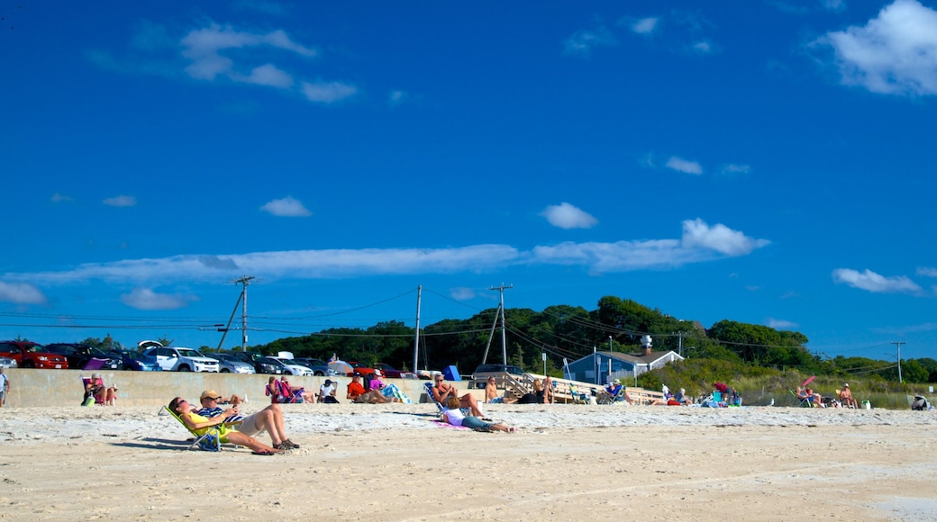 Old Silver Beach which includes a sandy beach as well as a small group of people