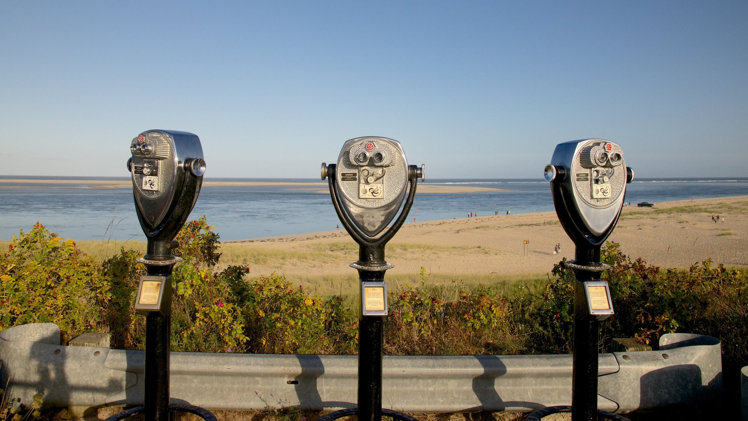 Chatham which includes a sandy beach and views