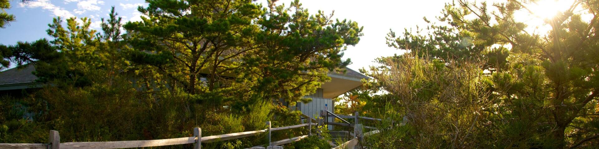 Cape Cod National Seashore featuring a house
