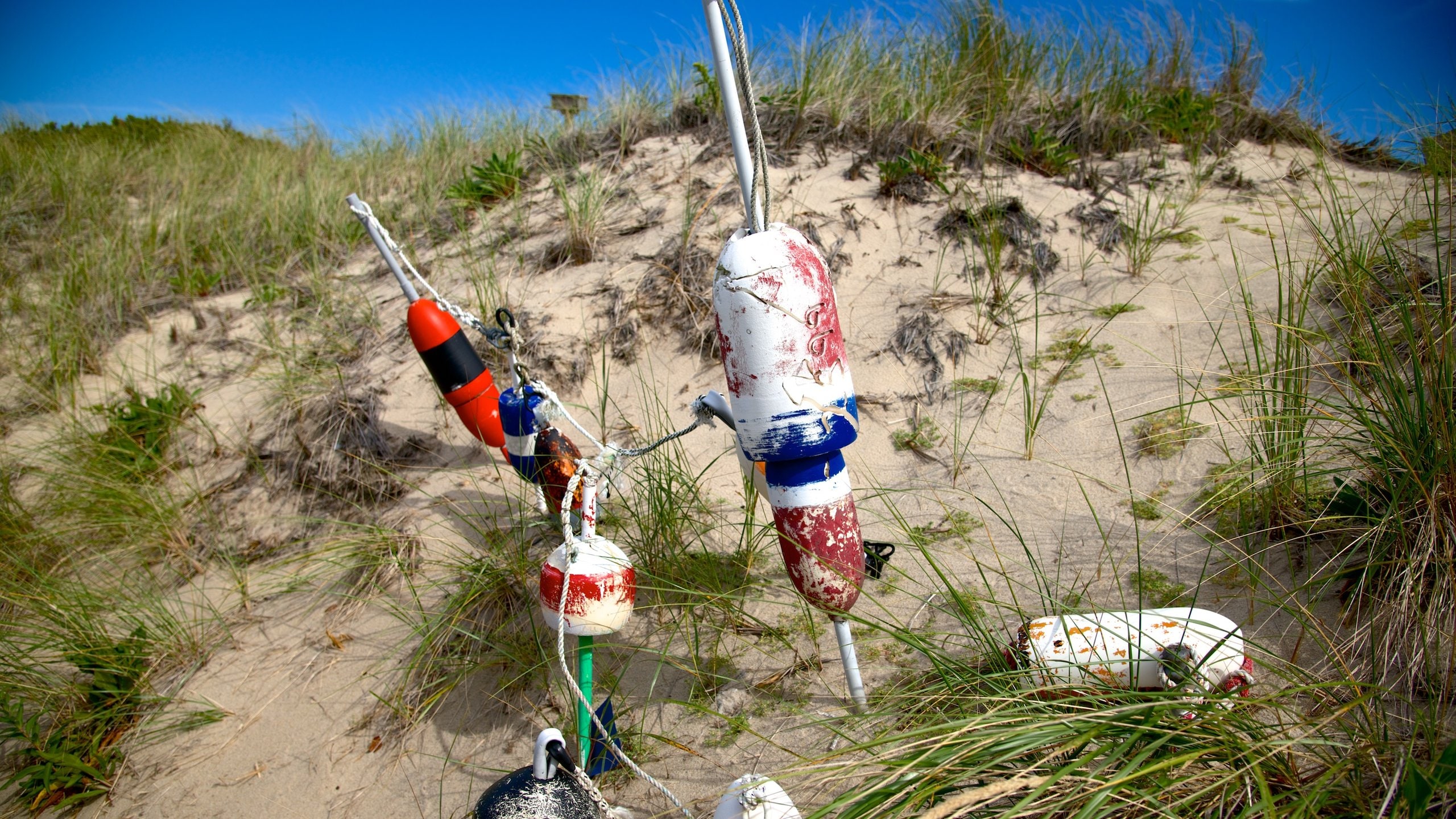 Eastham featuring fishing