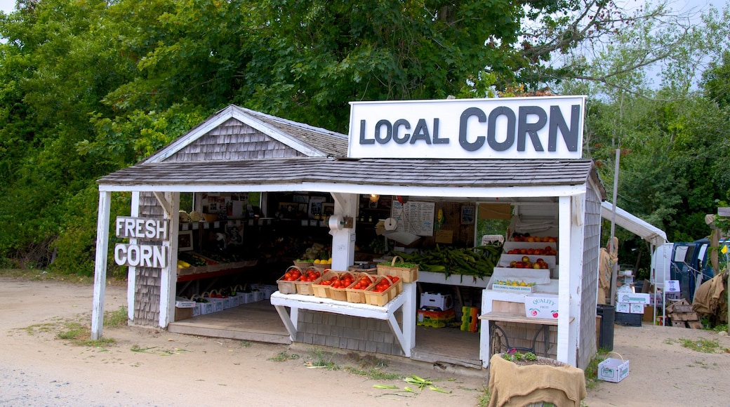 Salt Pond Visitor Center which includes markets and signage