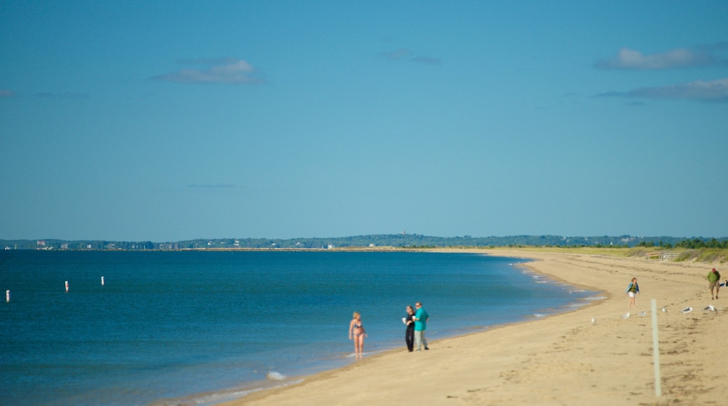 South Cape Beach State Park featuring a sandy beach as well as a family