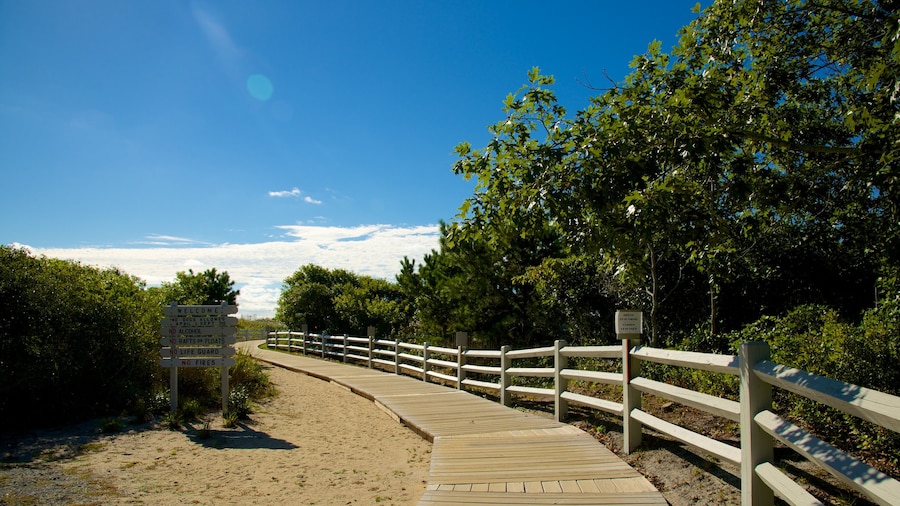 South Cape Beach nationalpark