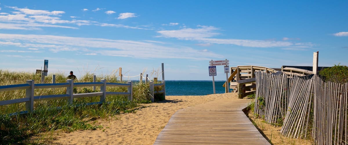 South Cape Beach State Park featuring a beach