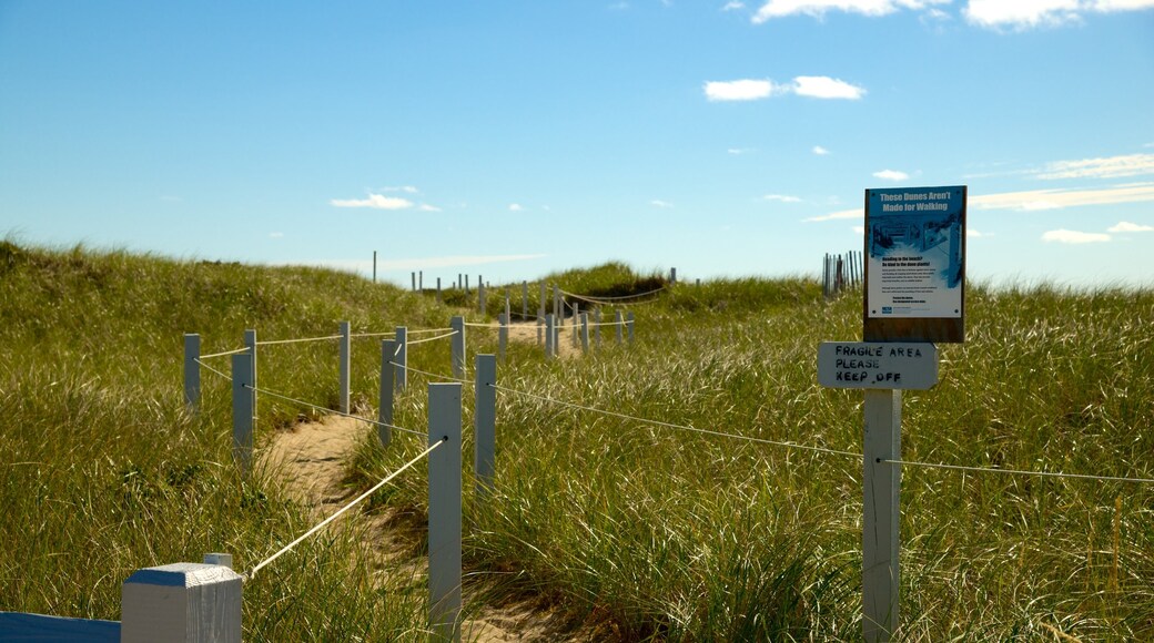 South Cape Beach State Park