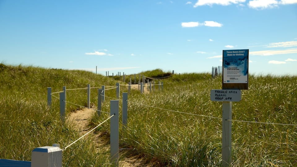 South Cape Beach State Park