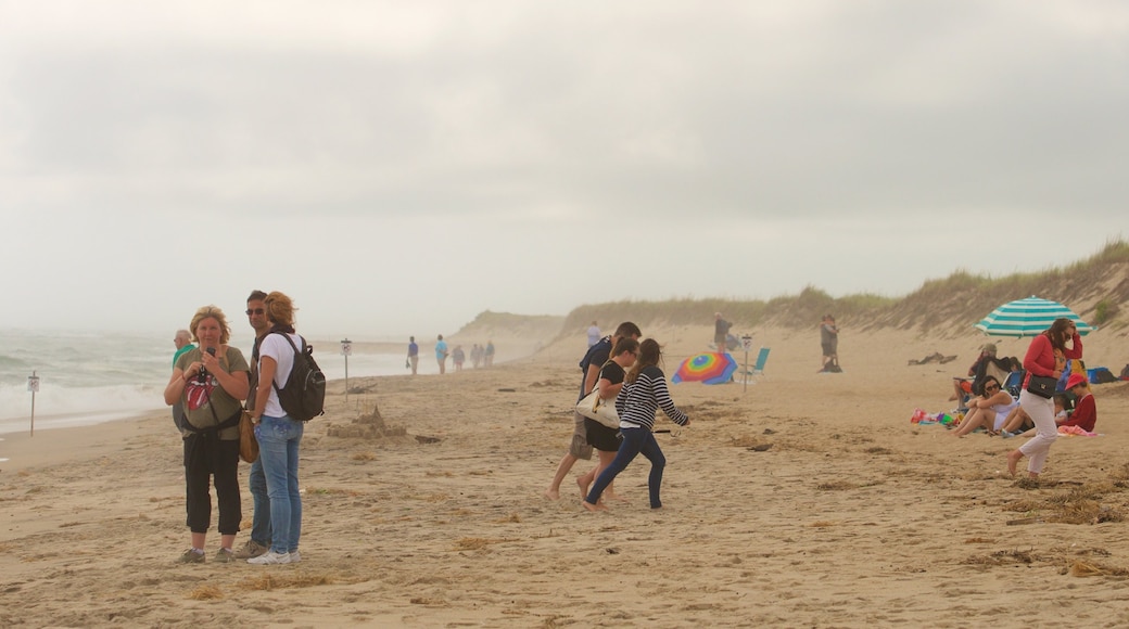 Coast Guard Beach che include spiaggia cosi come un grande gruppo di persone