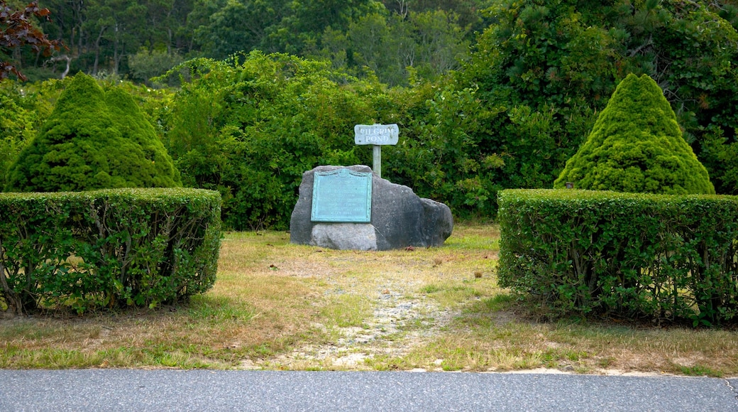 梅多布里奇沙滩岬