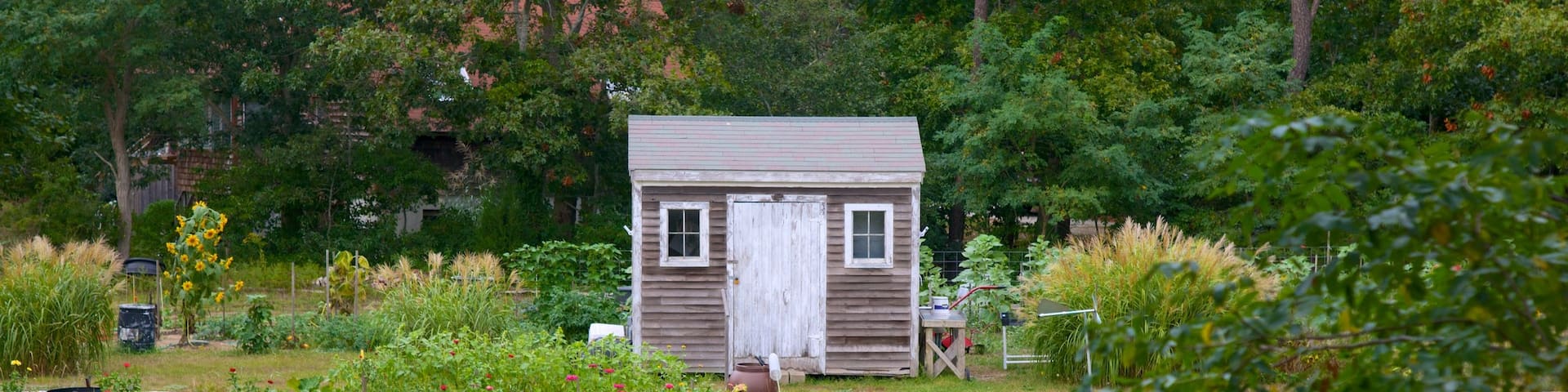 Truro montrant maison, parc et fleurs