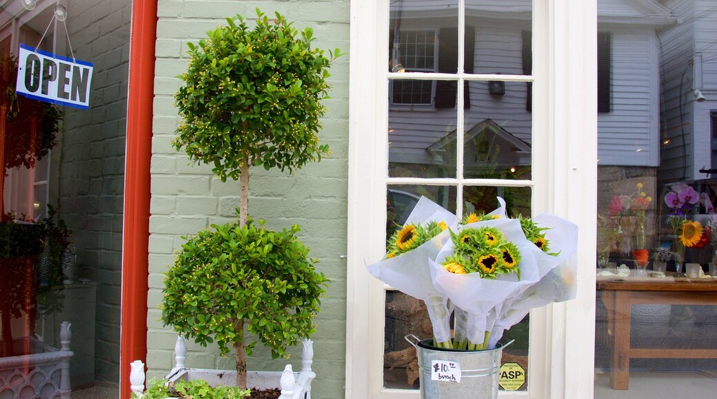 ストーニングトン 表示 花 と ショッピング