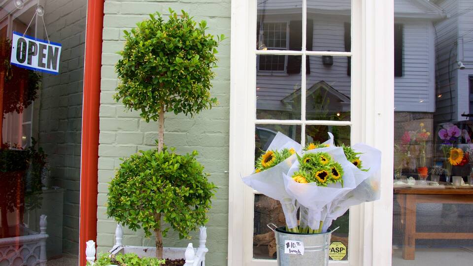 Stonington og byder på shopping og blomster