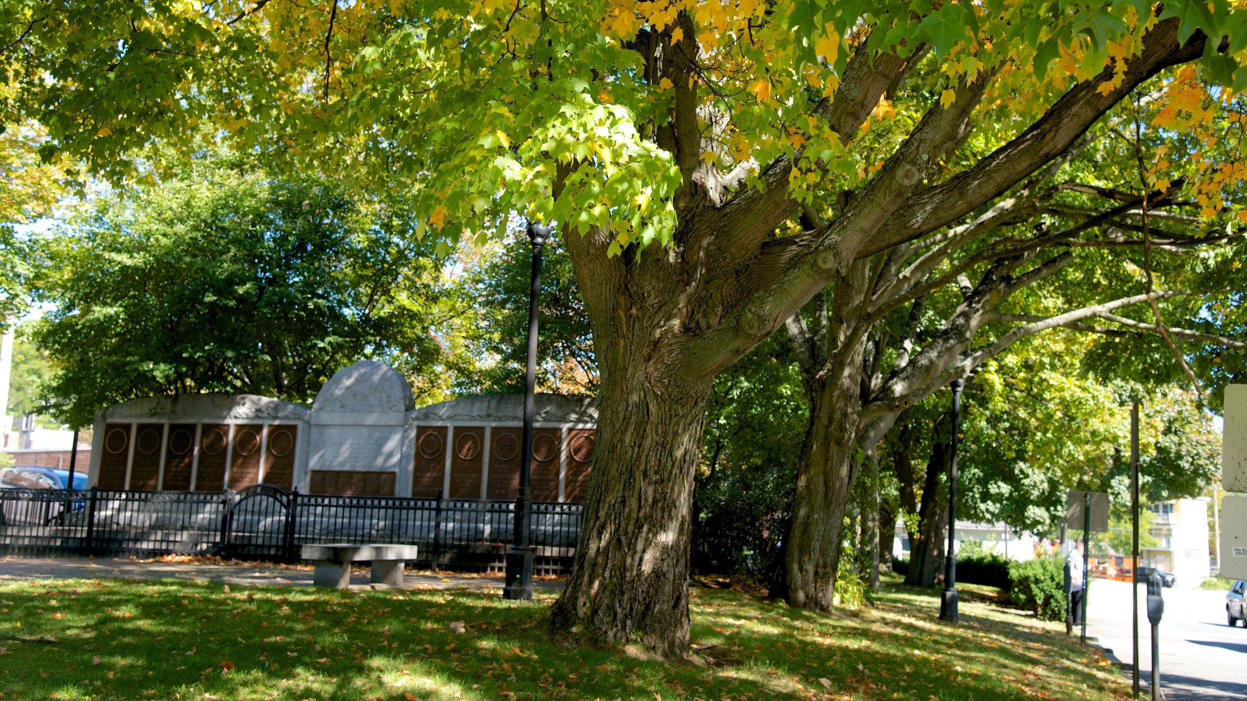 Nashua showing a garden and a house