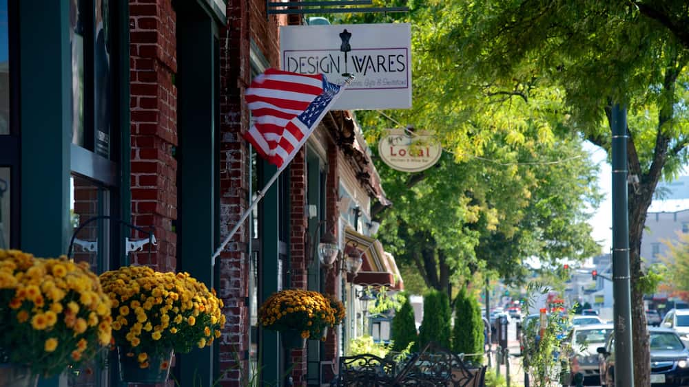 Nashua showing flowers and street scenes
