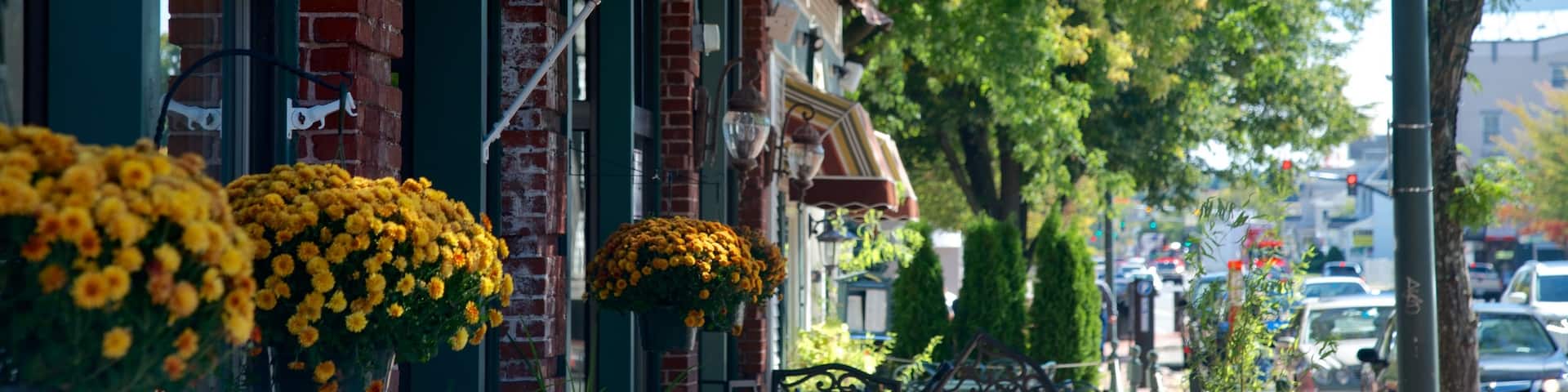 Nashua showing street scenes and flowers