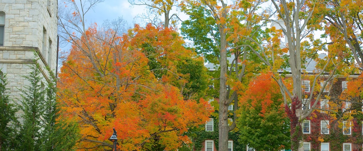 Williamstown which includes autumn leaves and a park