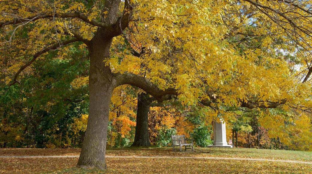 Williamstown showing autumn colours and a garden