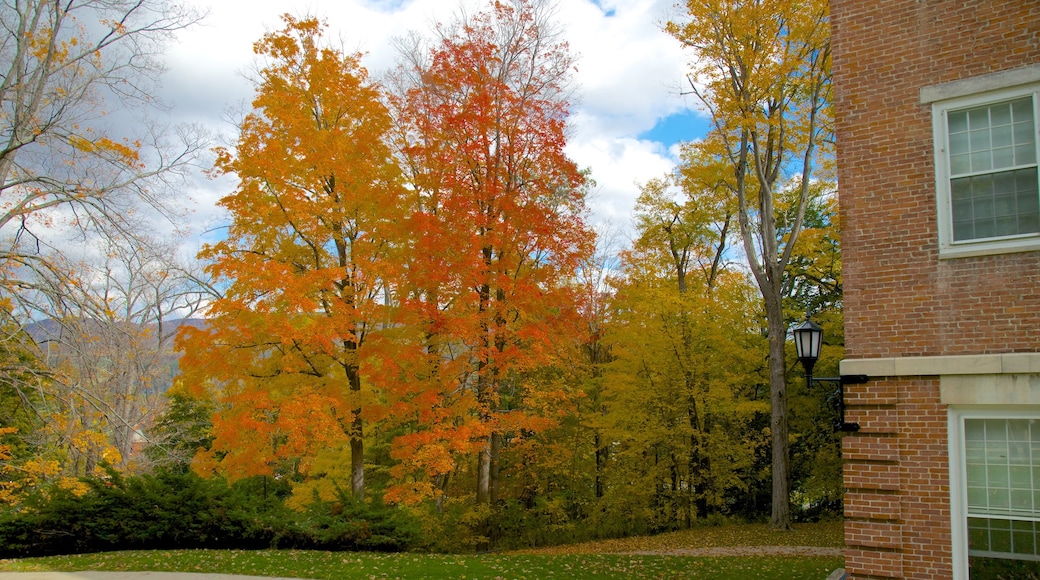 Williamstown which includes a park and fall colors