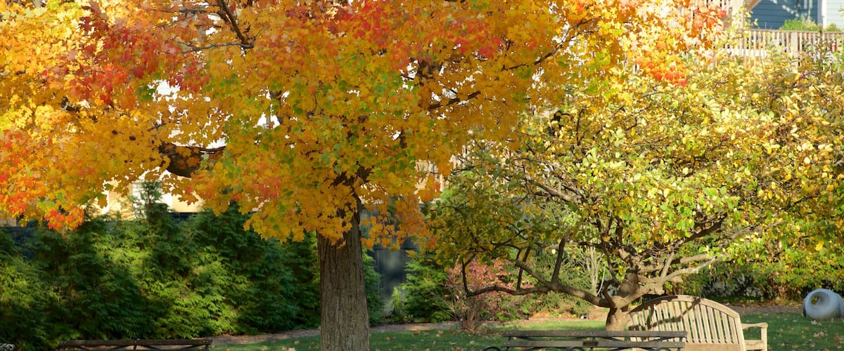Lenox featuring autumn colours